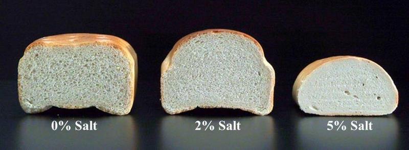 Hlutverk salts  braui