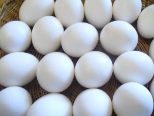 Hsr: Er eggi ferskt ea ntt?